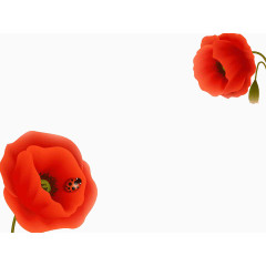 红色的花PPT背景