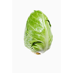 卷心菜