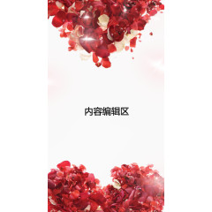 玫瑰花瓣展架模板