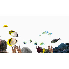 珊瑚海鱼海底世界素材