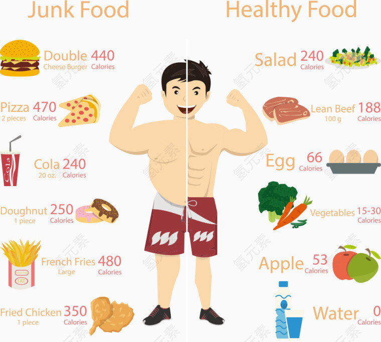 矢量营养蔬菜美食图表