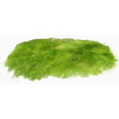 绿色草地