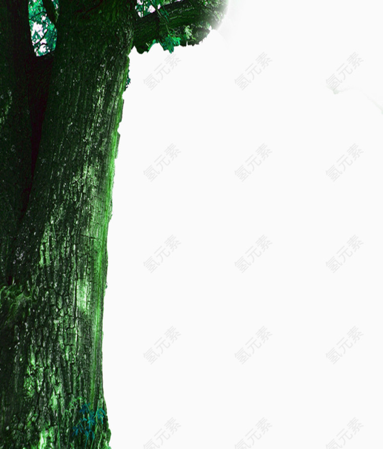 绿色大树