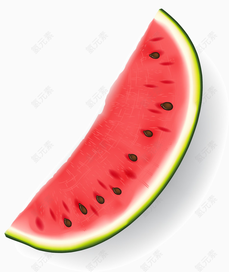 西瓜仁立体效果图矢量图