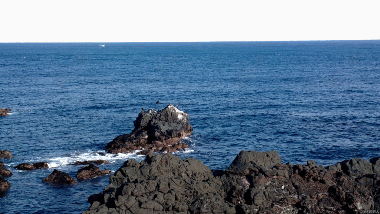 济州岛景点涉地可支