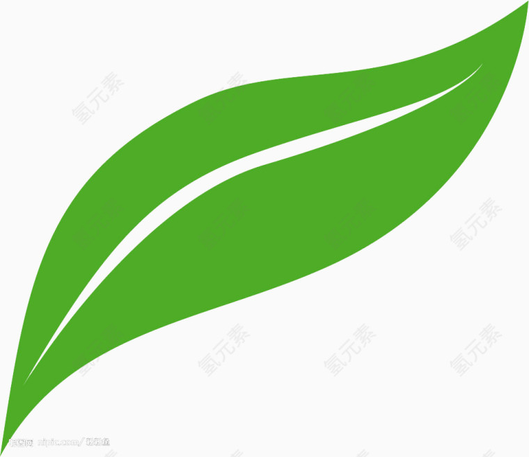 一片绿色的叶子