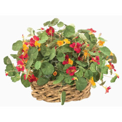 碎花盆栽花卉装饰编织花篮