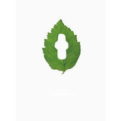 卫生巾树叶形状