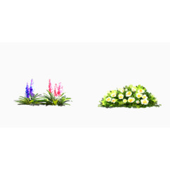 花朵草油画插画