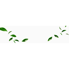 小清晰绿叶飘落