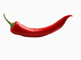 辣椒