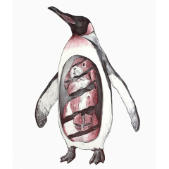 企鹅和兔子创意插画设计