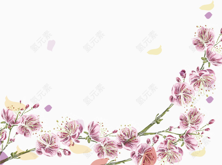 鲜艳的樱花