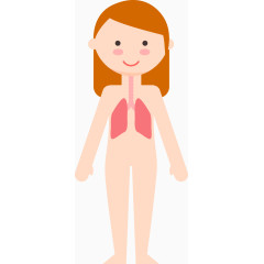 女子6大人体系统矢量图