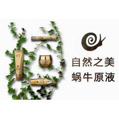 蜗牛原液