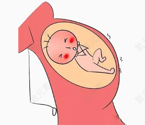妈妈肚子里的胎儿