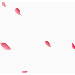 七夕浪漫花瓣漂浮