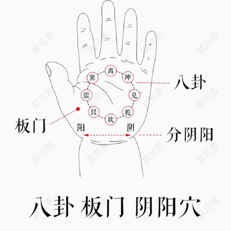 小儿推拿手部常用穴位