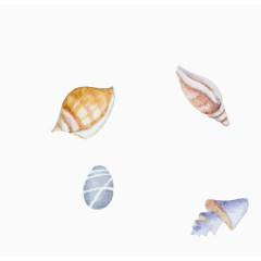 彩色手绘大海河蚌