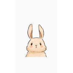 长耳朵兔子