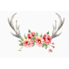 ??》ae?11/2?》¨?AE??2?