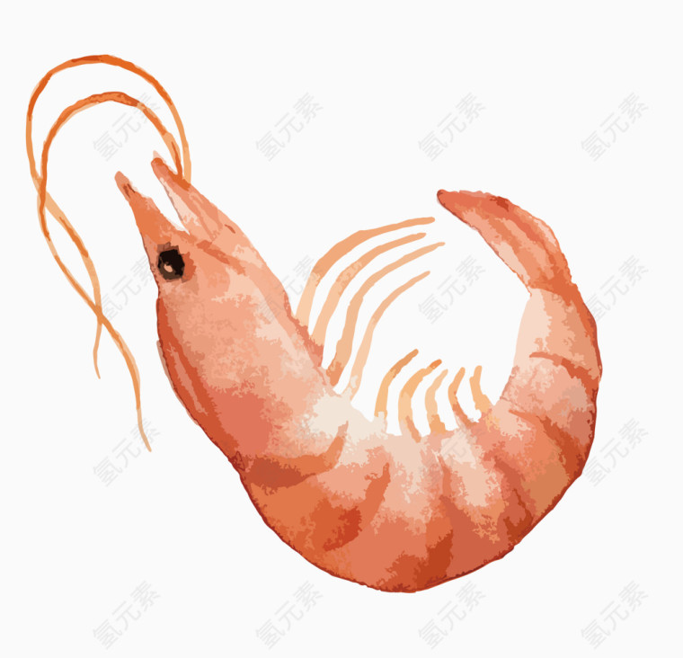 红烧大虾矢量素材