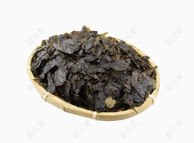 苦丁茶小叶