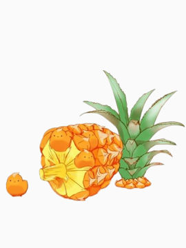 一颗长得像蘑菇的凤梨