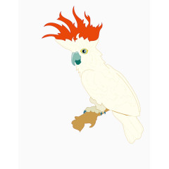 矢量红冠鹦鹉素材