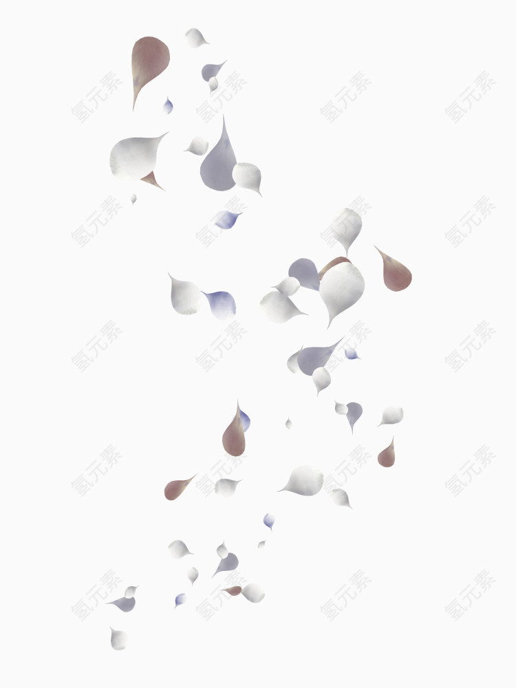 花瓣花卉