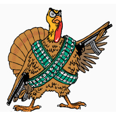 全副武装的火鸡