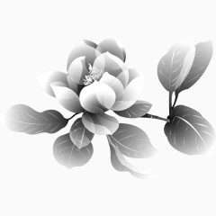 水墨色的花朵叶子