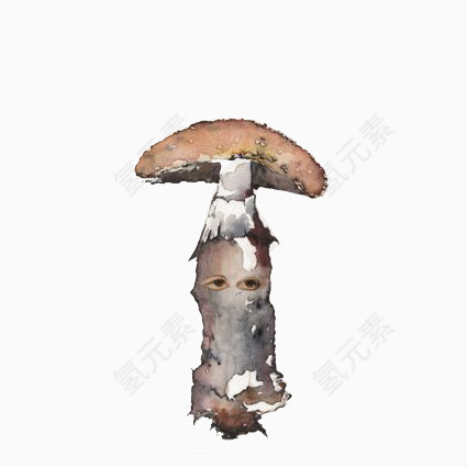 手绘蘑菇