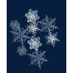 不同形状的雪花