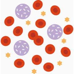 显微镜下细胞结构