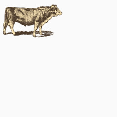 版绘牧场动物大猪