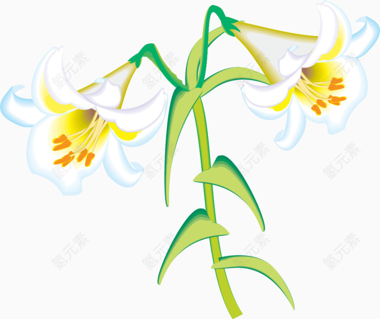 矢量手绘玉兰花