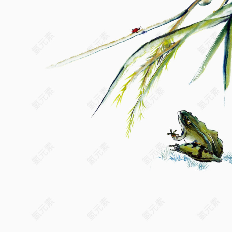 青蛙捕食