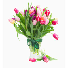 唯美郁金香花盘图片