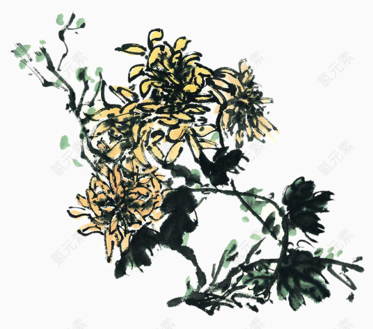 写意菊花