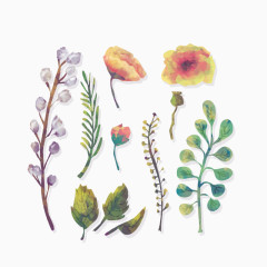 11款水彩花朵和叶子矢量素材