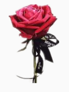 玫瑰玫瑰