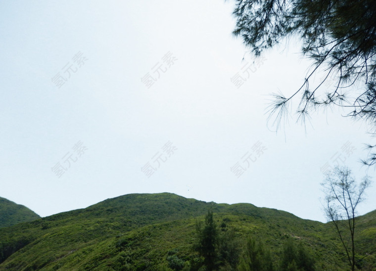 南丫岛