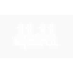 双十一 购物狂欢节  光棍节