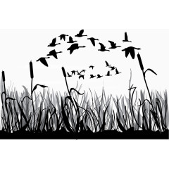 矢量图一群飞翔的鸟