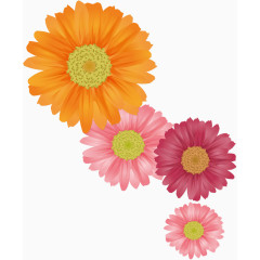 手绘菊花矢量图