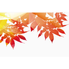 现代设计感的树叶