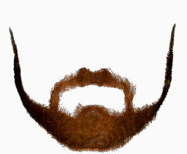 头发   假发   发型