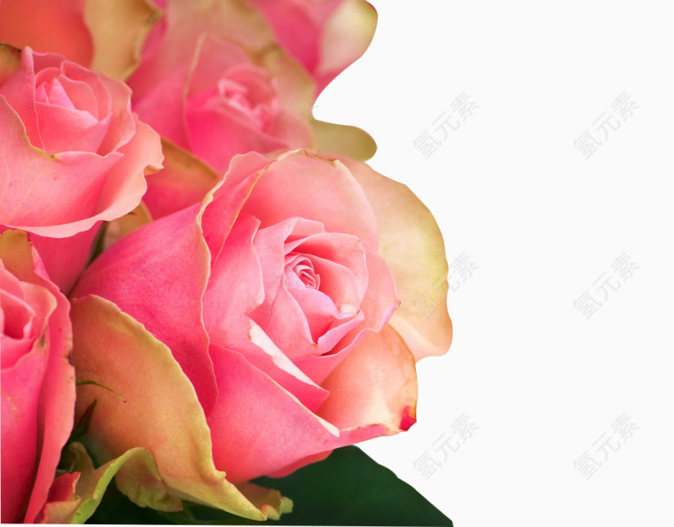 鲜花