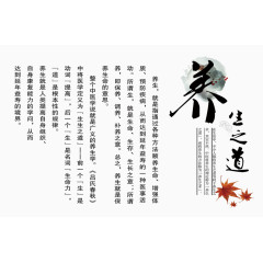 养生之道养生原理